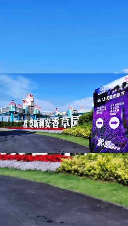2021年第五届上海薰衣草节承包你的初夏!_薰衣草_出行