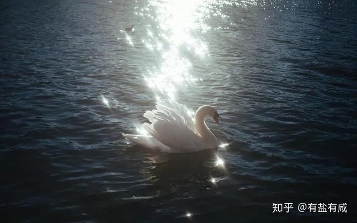 清净清静不违背自然规律