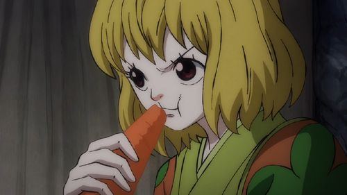 加洛特目前并不属于草帽团成员,只是跟着路飞从蛋糕岛来到了和之国