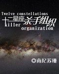 十二星座杀手组织