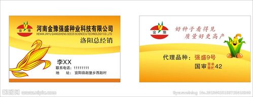 玉米名片图片