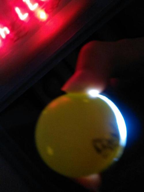 (以下是照蛋图,此蛋已孵化13天了