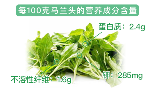 马兰头-营养最均衡