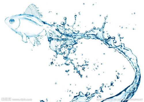 水和鱼图片