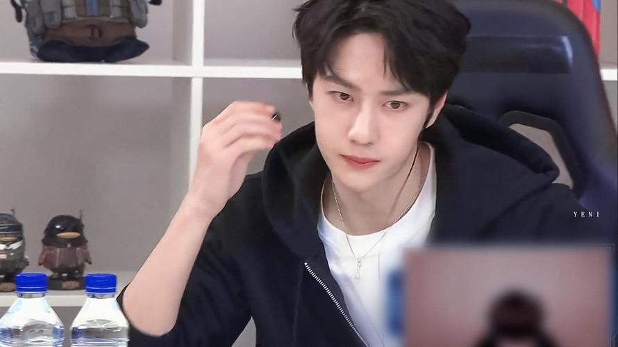 和平精英王一博