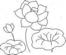 盛开的荷花荷叶简笔画