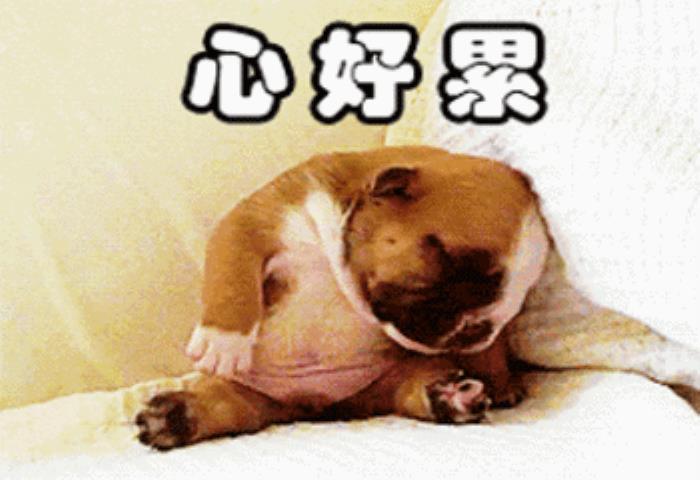 心好累图片心好累搞笑文字表情包