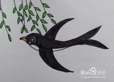 5 画燕子的尾巴,如图所示. 6 画燕子背部与腹部的分隔线,如图所示.