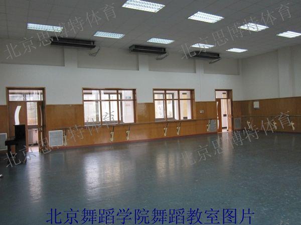 国产优质舞蹈地胶