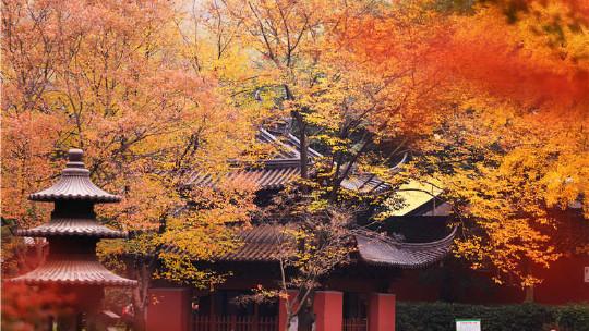 栖霞山门票及相关产品