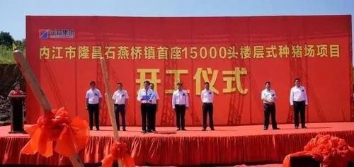 正邦科技:隆昌石燕桥镇1.5万头楼层式种猪场项目举行