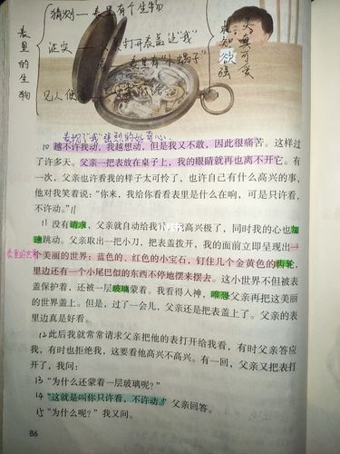 16《表里的生物》课文批注_语文_教育_小学教育