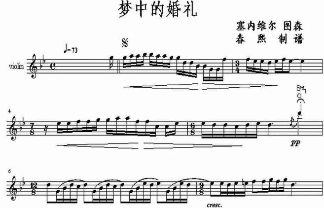 梦中的婚礼 小提琴版
