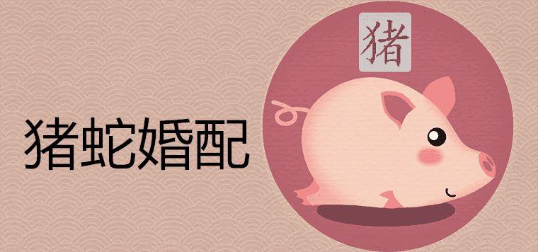 猪和蛇在一起对谁不利 相冲后果有哪些