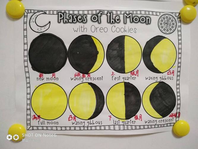 lily借用手电筒,地球模型和小黑板,呈现月相变化的原因.孩子们秒懂