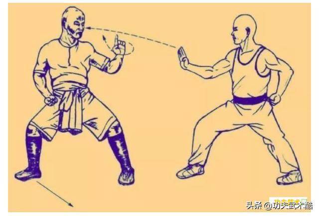 动画(gif),图文详细演示洪拳经典格斗招式,跟着学两招