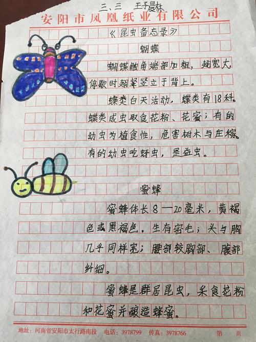 调动孩子们多种感官,展示他们眼中的世界——昆虫备忘录
