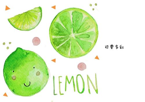 钻石柠檬logo设计——设计与思维逻辑的碰撞