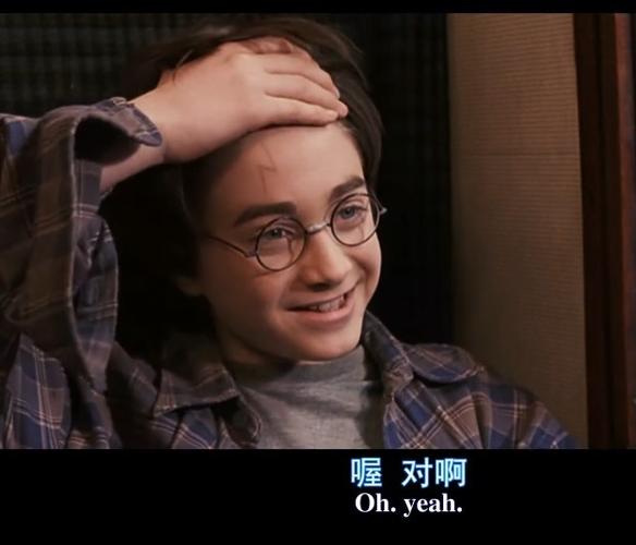 哈利波特额头的印记不是在右边吗?