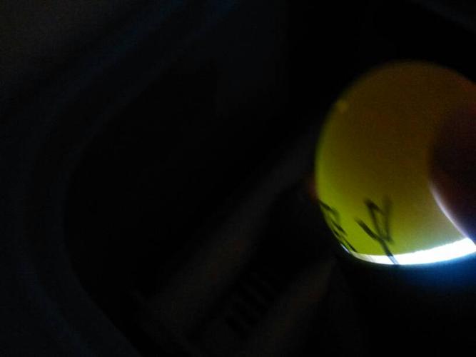 (以下是照蛋图,此蛋已孵化13天了