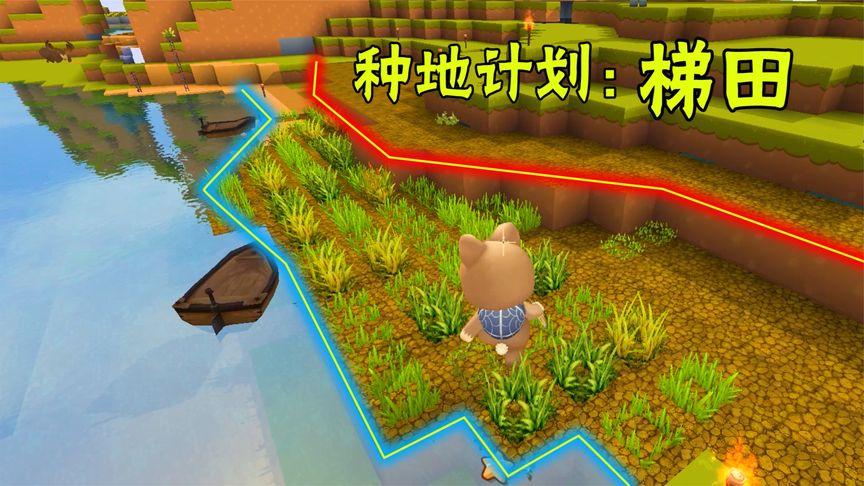 迷你世界06:失踪了四天时间,叶纸做了一个梯田,解决吃饭问题