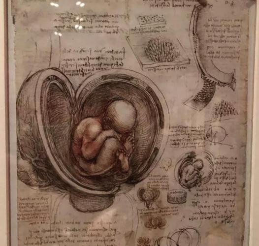 达芬奇有多厉害?不仅是天才,因太过"全能"还被认为是外星人