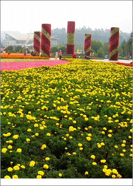 (原)昆明世博园花园大道