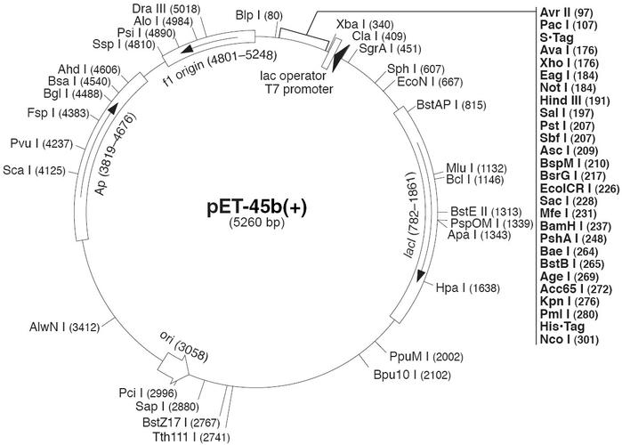 pet-45b( )
