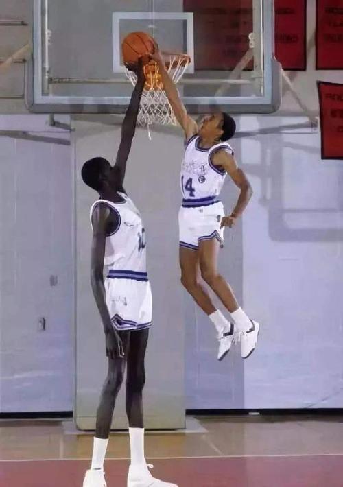 nba臂展最长的球员:马努特-波尔(2米59)