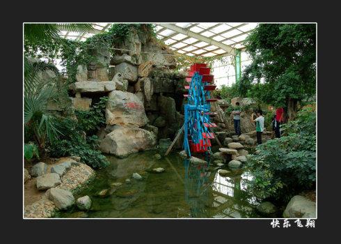 德州大雁岛生态园(多图)