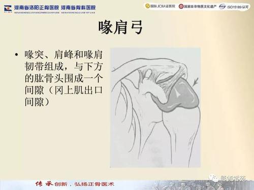 【经典】肩关节mri规范化扫描及相关病变影像学诊断