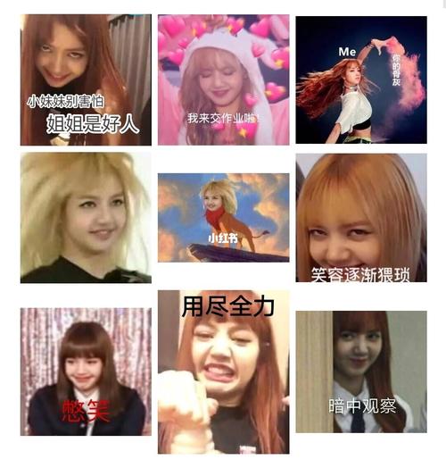 lisa沙雕可爱表情包_表情包_沙雕_lisa_素材_表情包