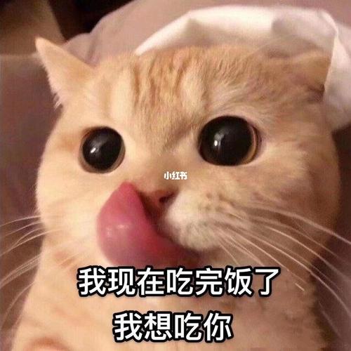 必撩男友表情包_表情包_男朋友_情侣表情包_素材_表情