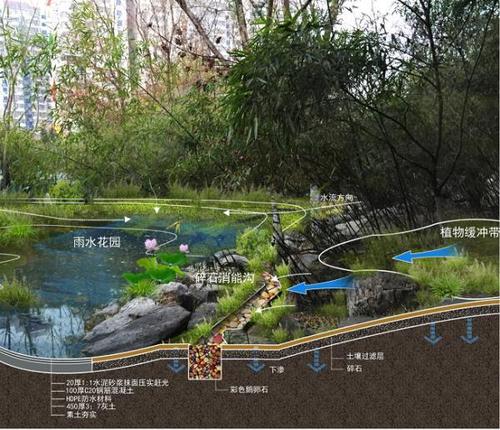 雨水花园-花瓣网|陪你做生活的设计师 | 阿普贝思景观