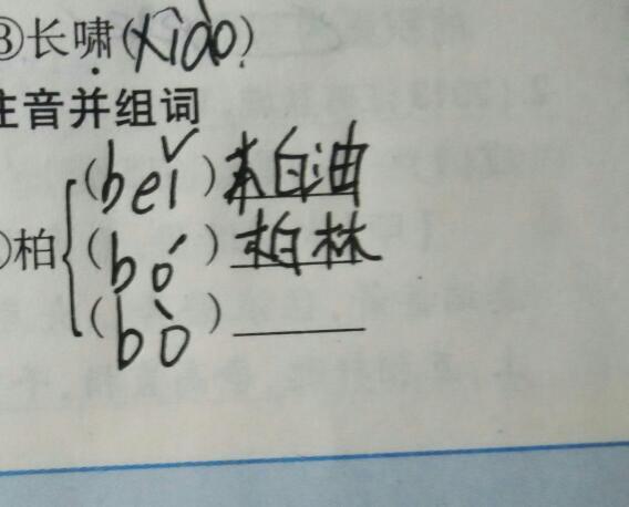 bo这个音怎么组词