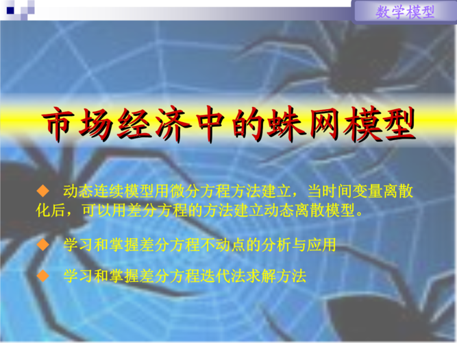蛛网模型w.ppt