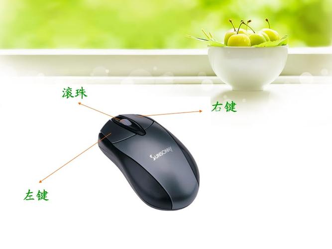 认识鼠标ppt