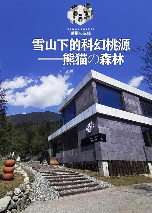成都特色民宿,打卡科技感满满的成都熊猫森林太空舱酒店