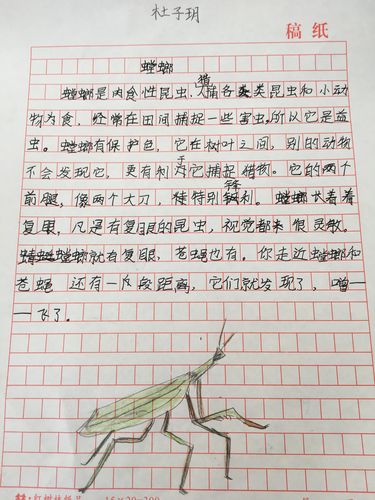 调动孩子们多种感官,展示他们眼中的世界——昆虫备忘录