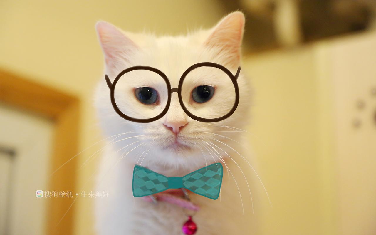 唯美意境非主流静物眼镜特写高清桌面壁纸第二辑