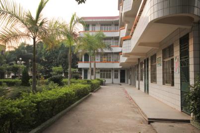 大湾镇中心小学