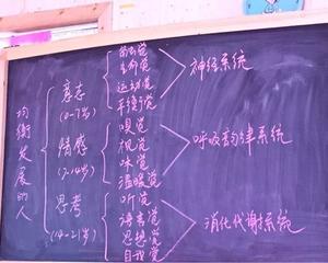 我的感官思维导图