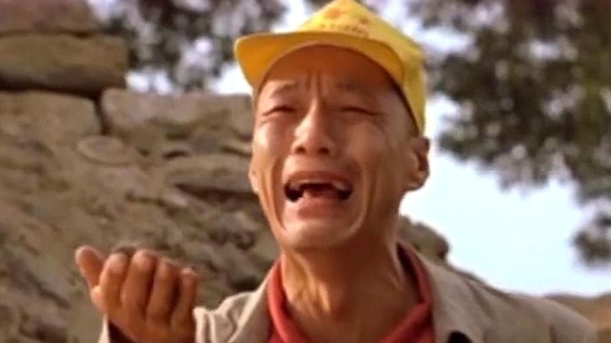 几部动物主角真人电影,搞笑温情又治愈,假期正好在家看
