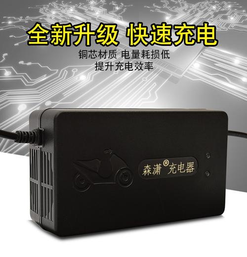 24伏电动电瓶车充电器24v36v12ah20ah30ah玩具车轮椅车铅酸电池