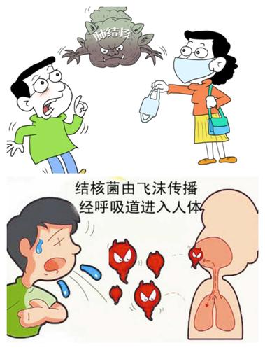 结核病主要通过呼吸道传染,也可以通过消化道,皮肤等途经传染.