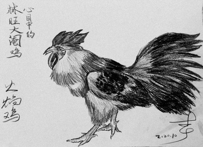 素描铅笔 碳素铅笔～画