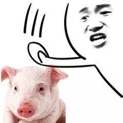 搞笑表情包:给爷整懵x了,我们只有认命了