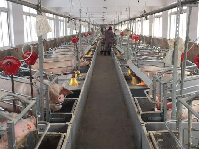 智能化综合管理平台