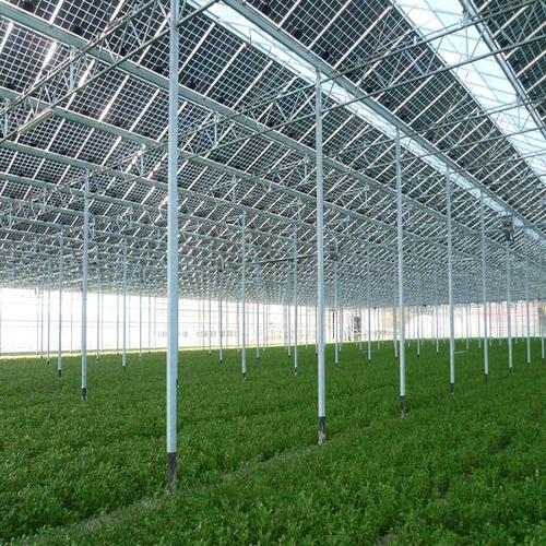 未来五年 光伏大棚会成为现代化农业的优选模式