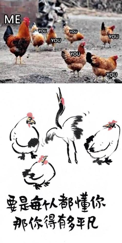 希望你永远如此"鹤立鸡群"!